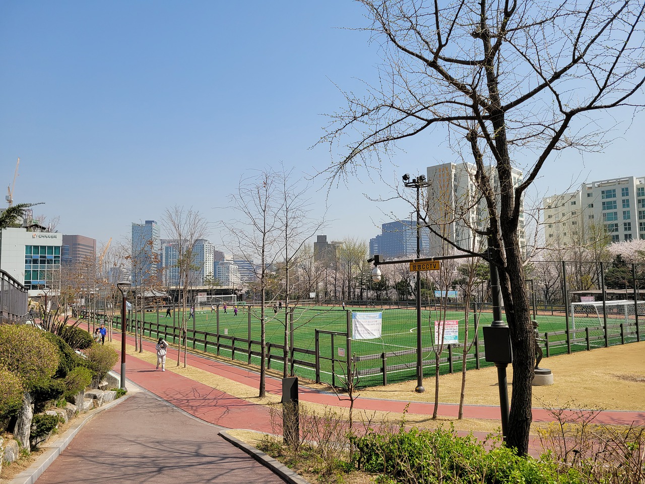 日本男篮表现惊艳观众