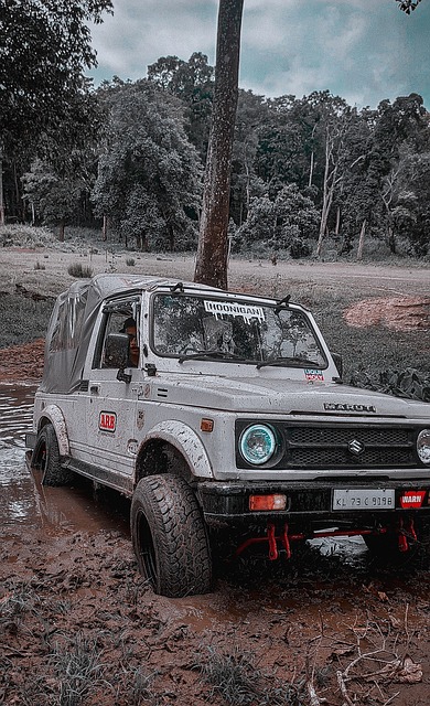 他在法国的 他在法国的