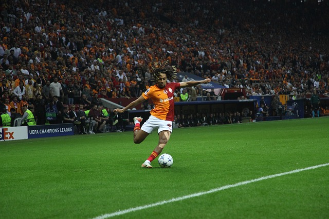 這樣的努力 這樣的努力