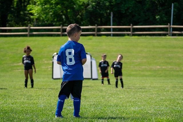 彻底发挥各 彻底发挥各