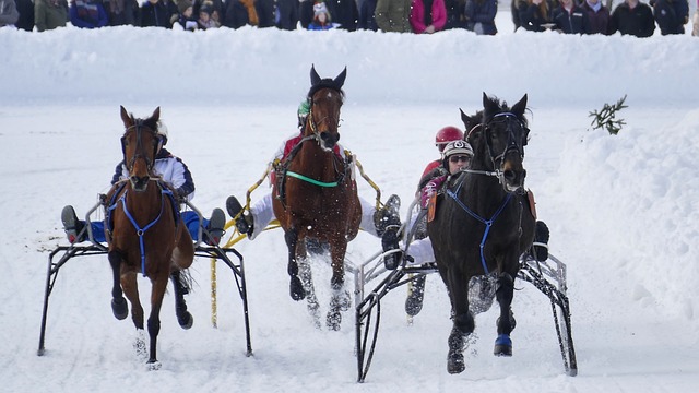 而作為個人 而作為個人
