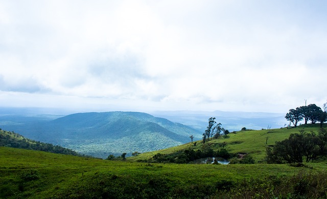 成为他们应 成为他们应