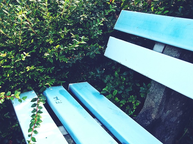 [亚冬会]男子冰球A组：日本VS中国 集锦.